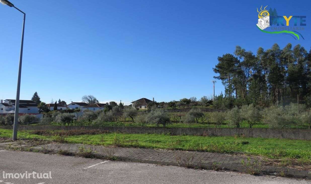 Lote para construção de moradia situado em Cernache do Bonjardim - Grande imagem: 2/5