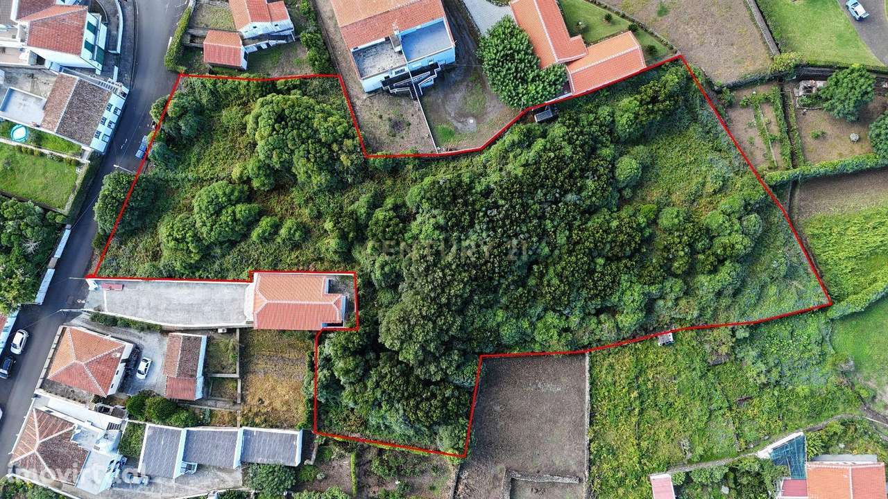 Terreno à Venda na Canada do Porto – Biscoitos - Grande imagem: 3/4