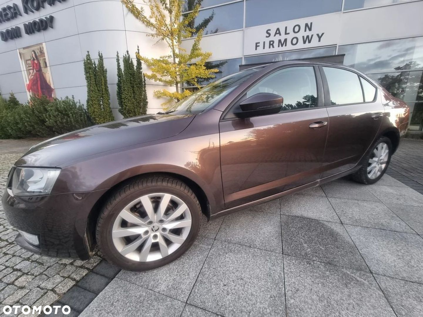 Skoda Octavia 1.6 TDI Elegance - 32