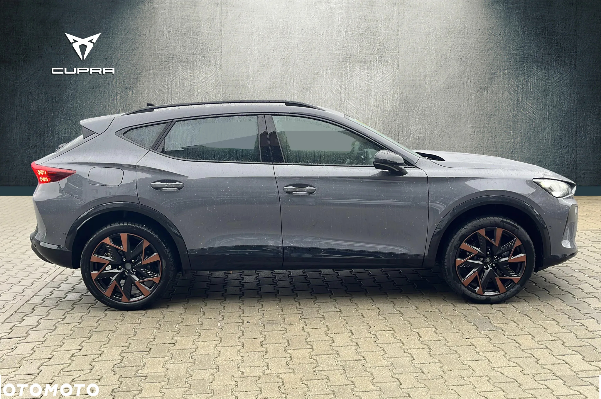 Cupra Formentor 2.0 TSI 4Drive DSG - 6