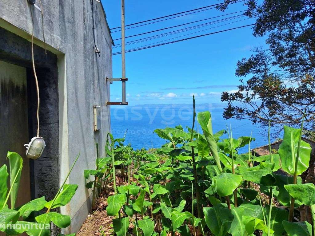 Moradia com enorme potencial em São Miguel Arcanjo - São Roque do Pico - Grande imagem: 3/13