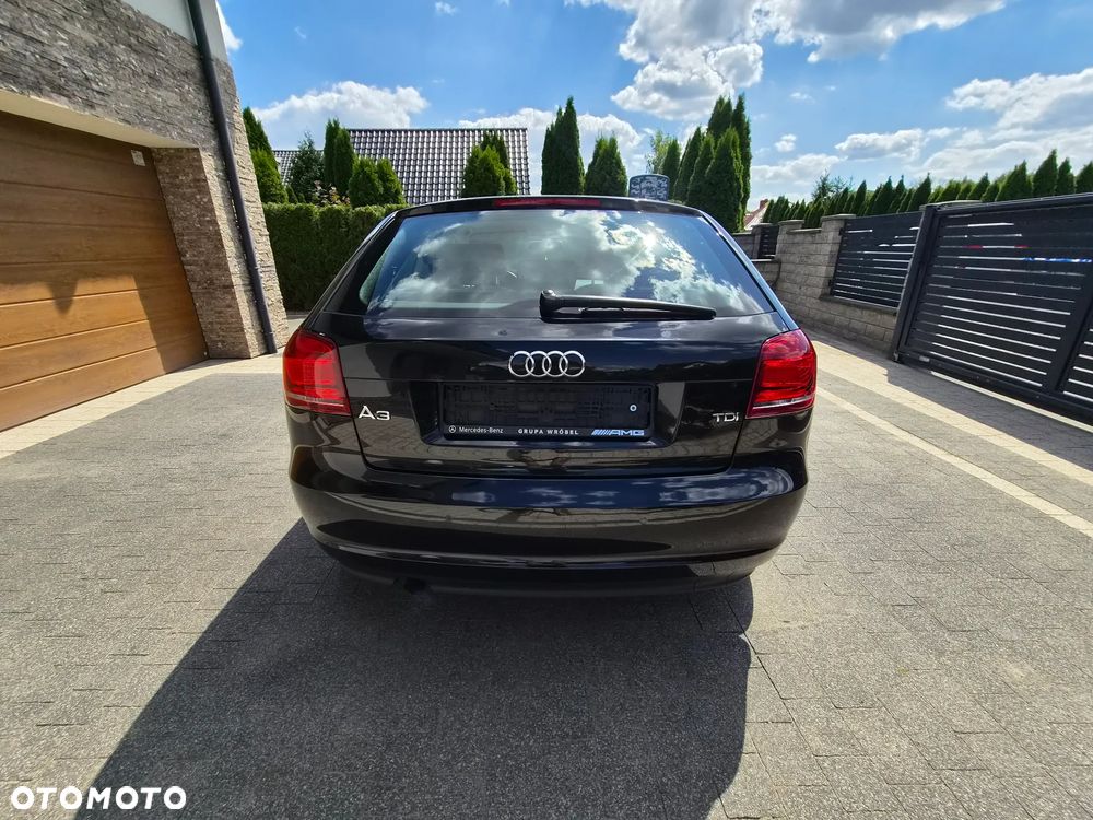 Audi A3 3-drzwiowe - 8
