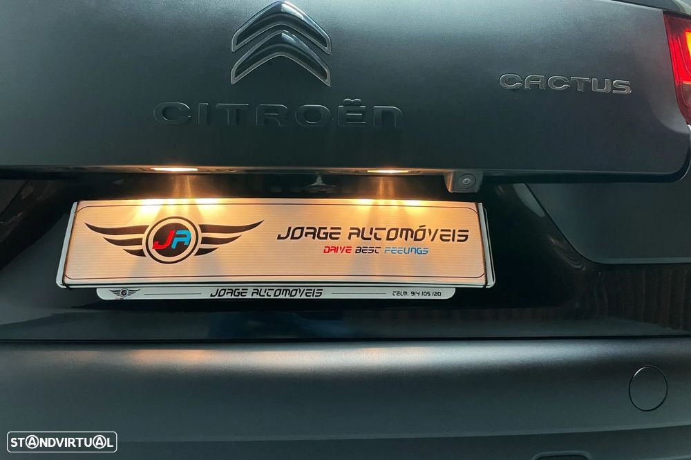 Citroën C4 Cactus 1.6 BlueHDi Shine 87g - 20