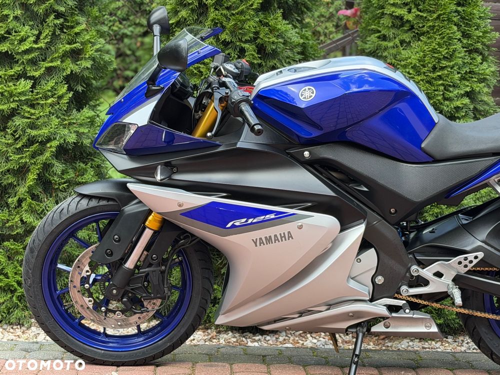 Yamaha YZF - 19