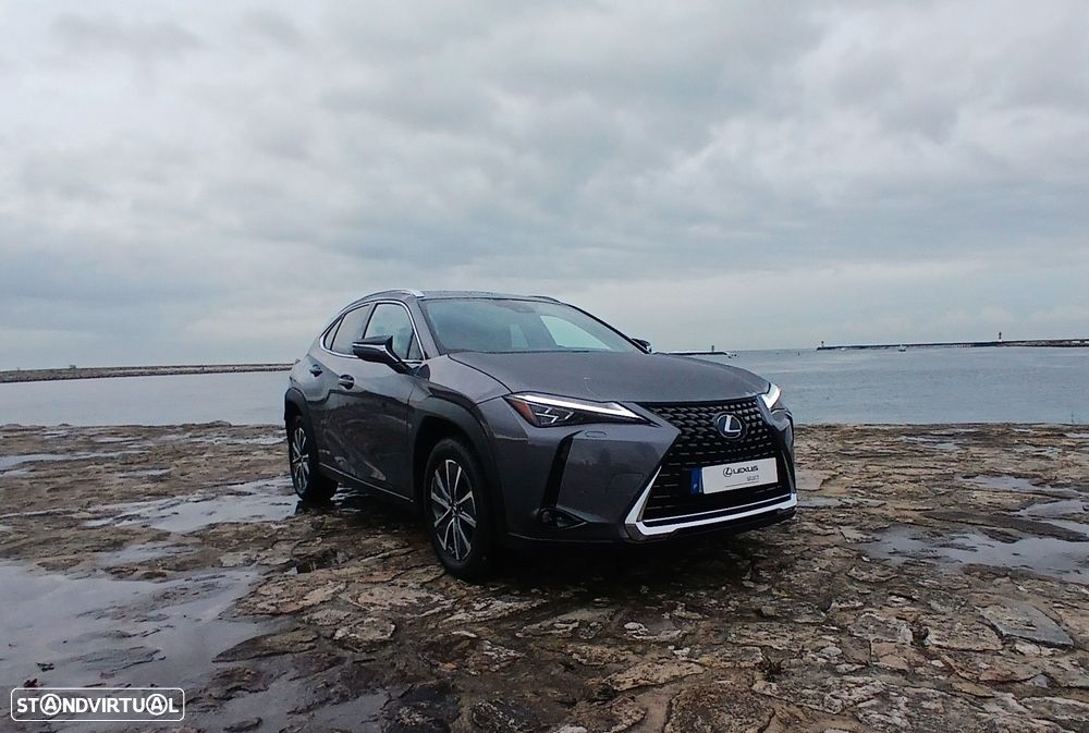 Lexus UX 300e Luxury - 7