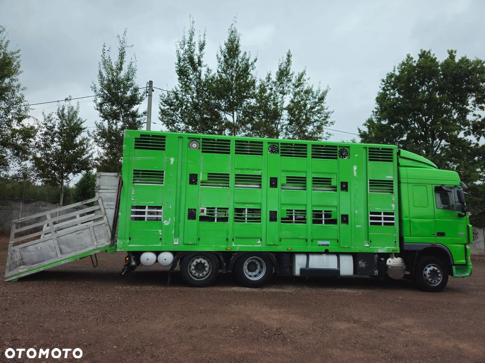 DAF xf 105 460 - 9