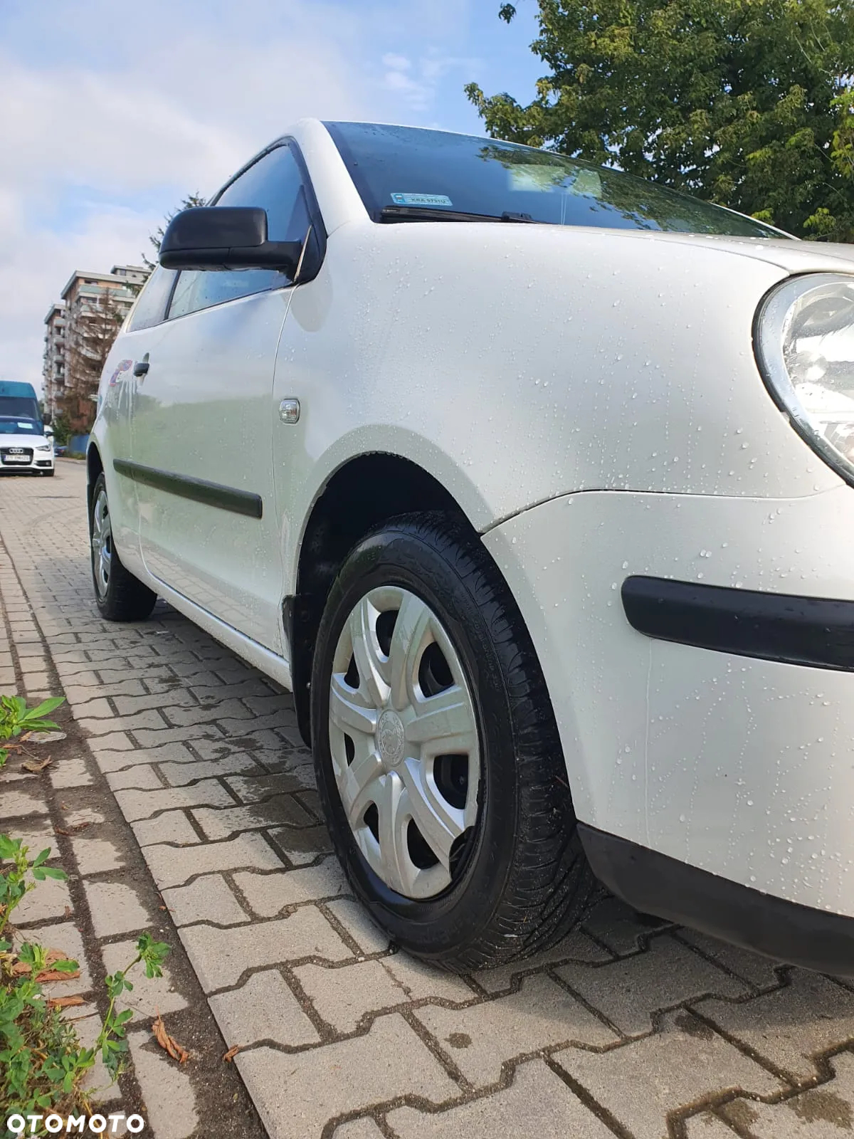 Volkswagen Polo - 6