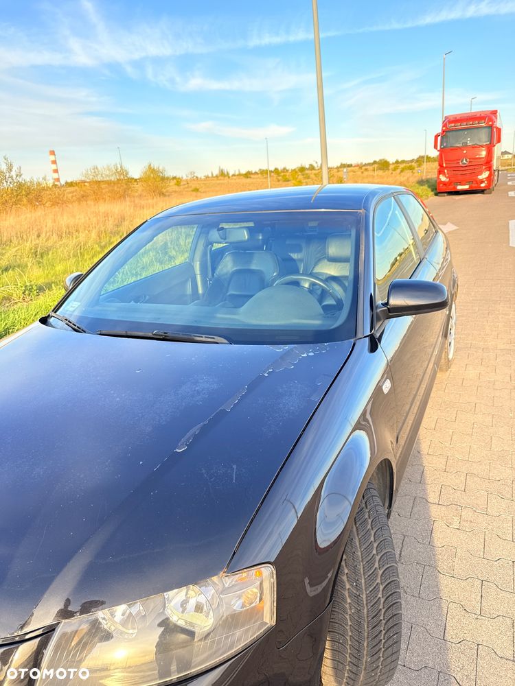 Audi A3 3-drzwiowe 1.9 TDI Ambition - 10