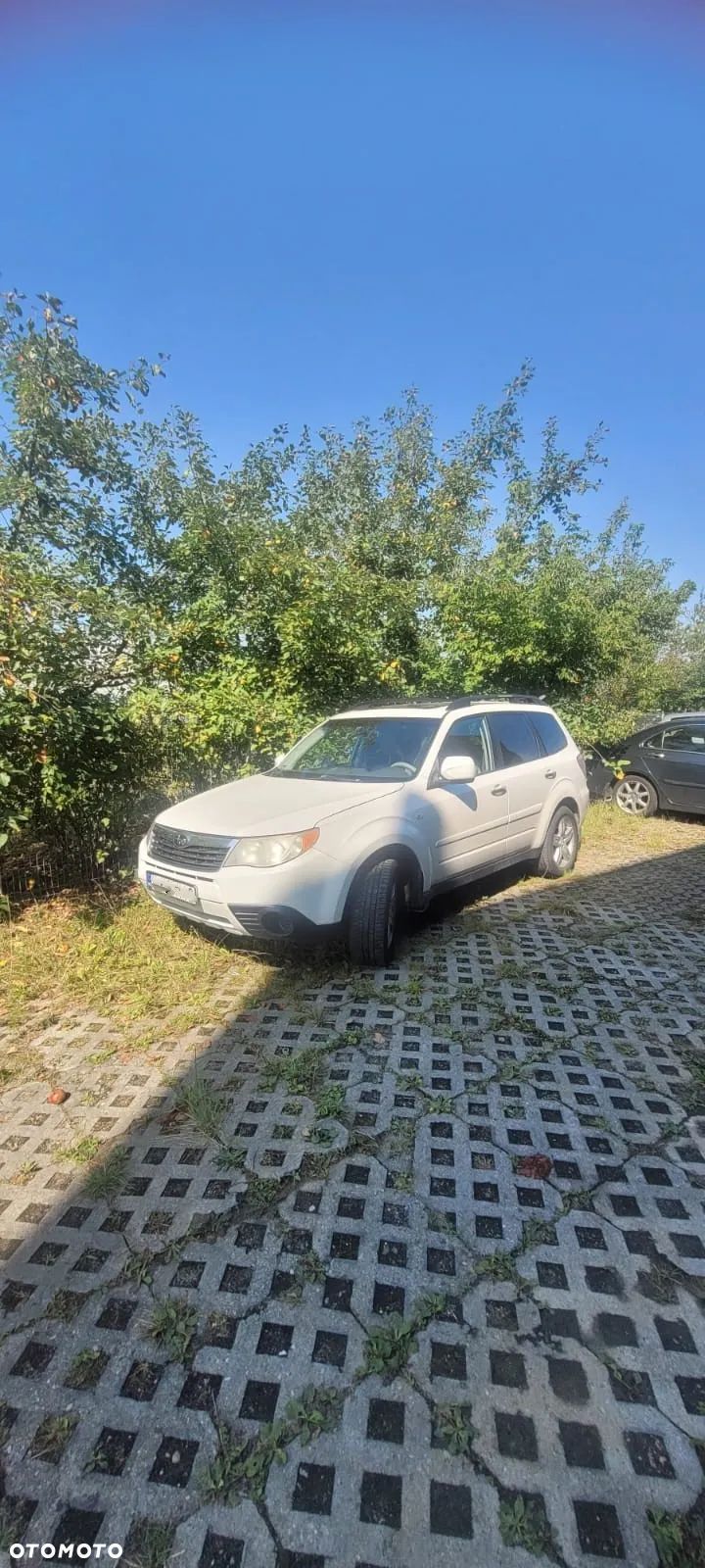 Subaru Forester - 1