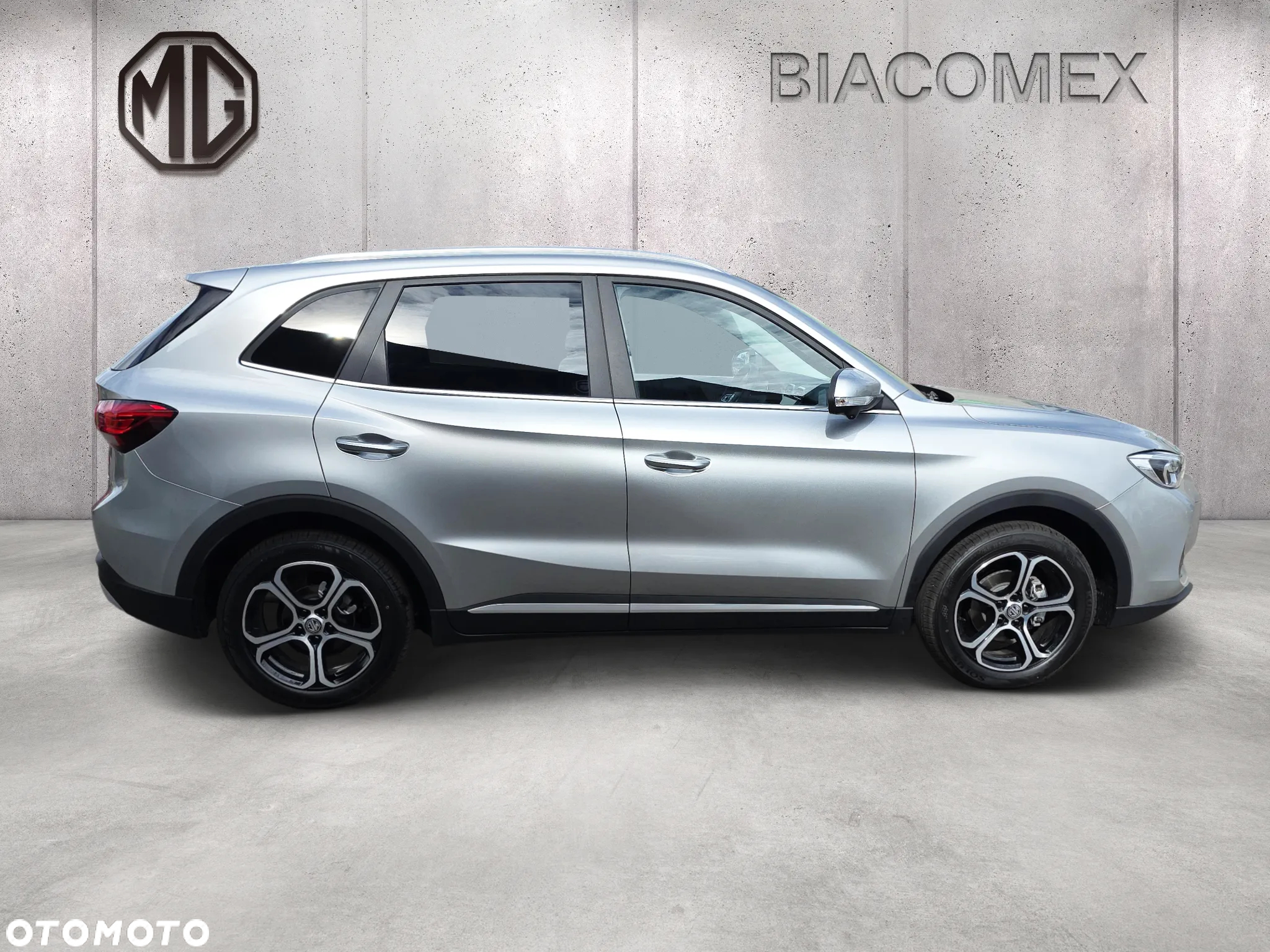 MG ZS - 6