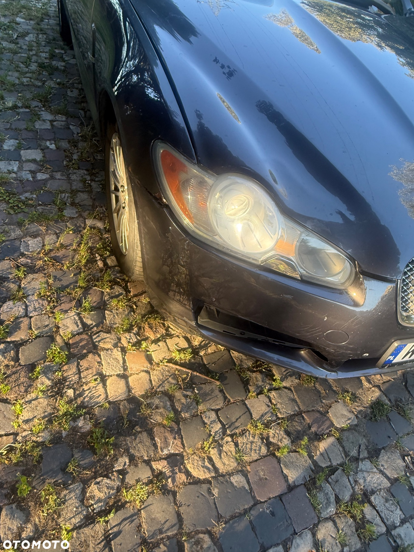 Jaguar XF 2.7 V6 D Luxury - 5
