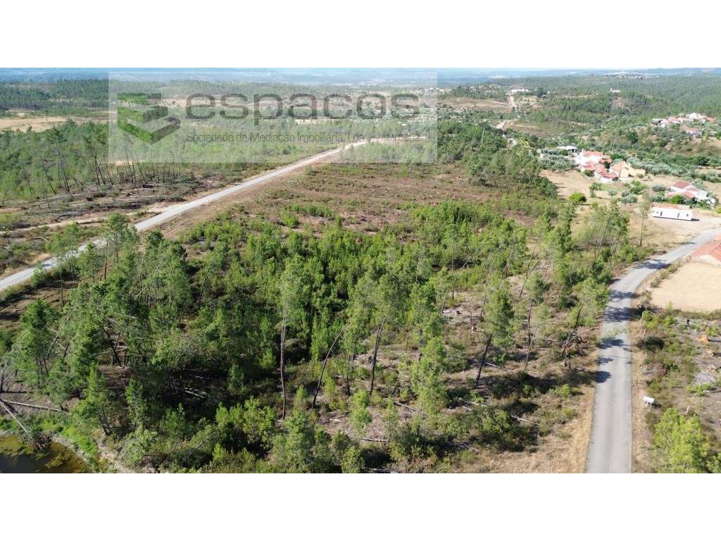 Terreno em Versadas - Grande imagem: 2/8
