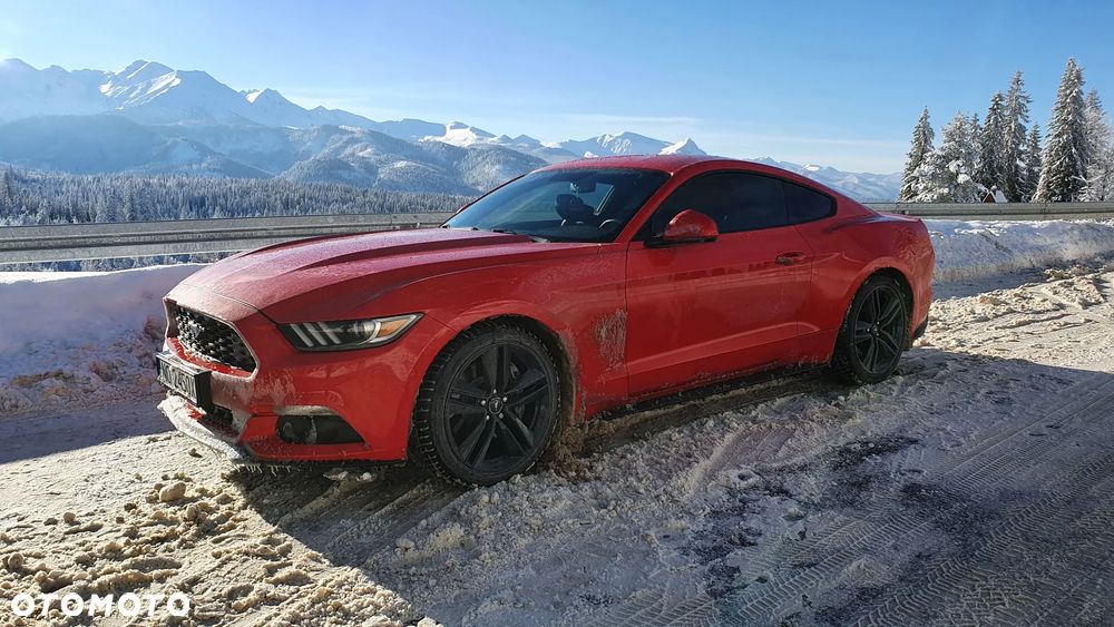 Ford Mustang - 1