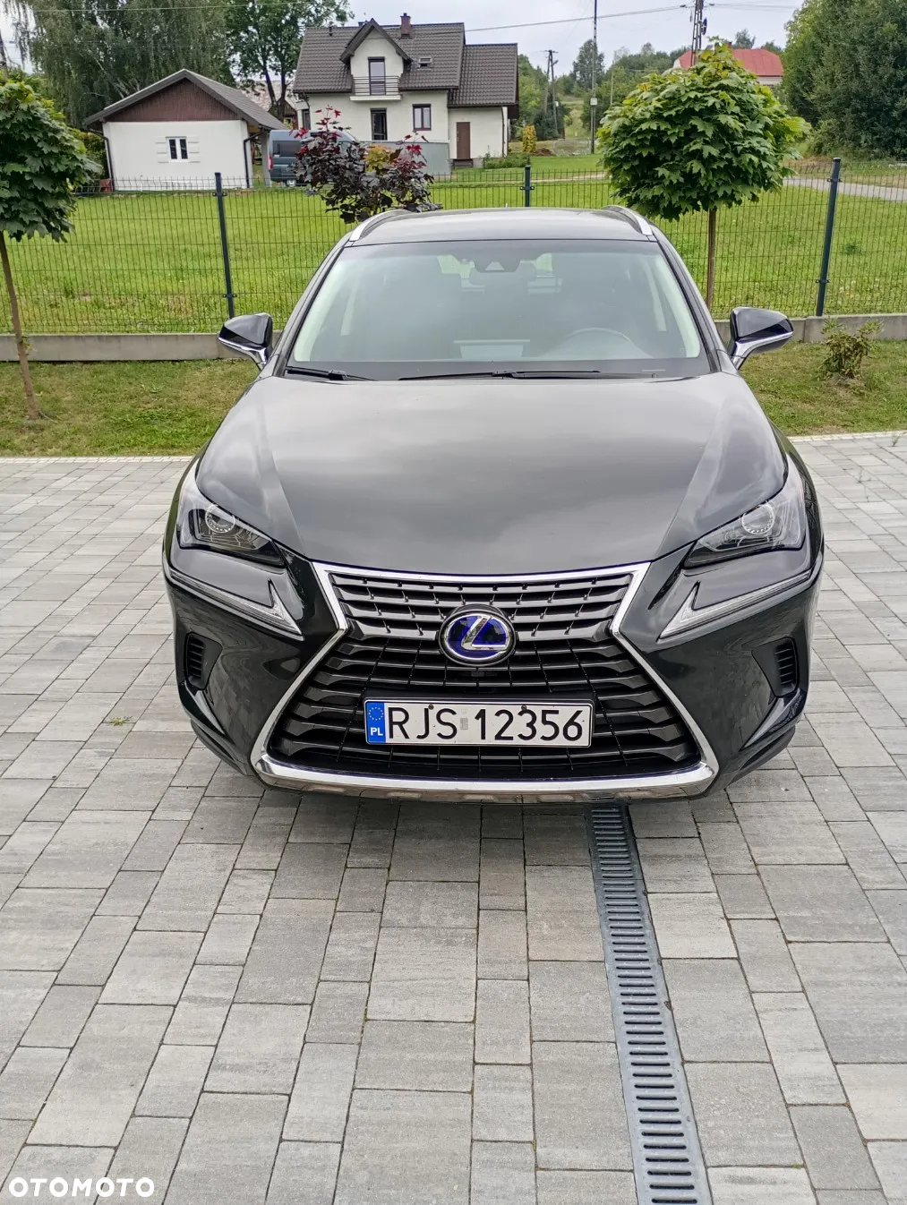 Lexus NX 300h Elegance 2WD - 3