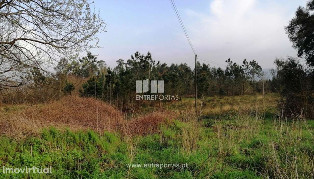 Venda de terreno para construção, Deão, Viana do Castelo - Grande imagem: 4/30