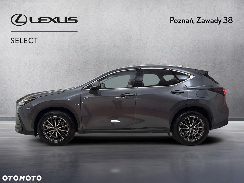 Lexus NX - 5