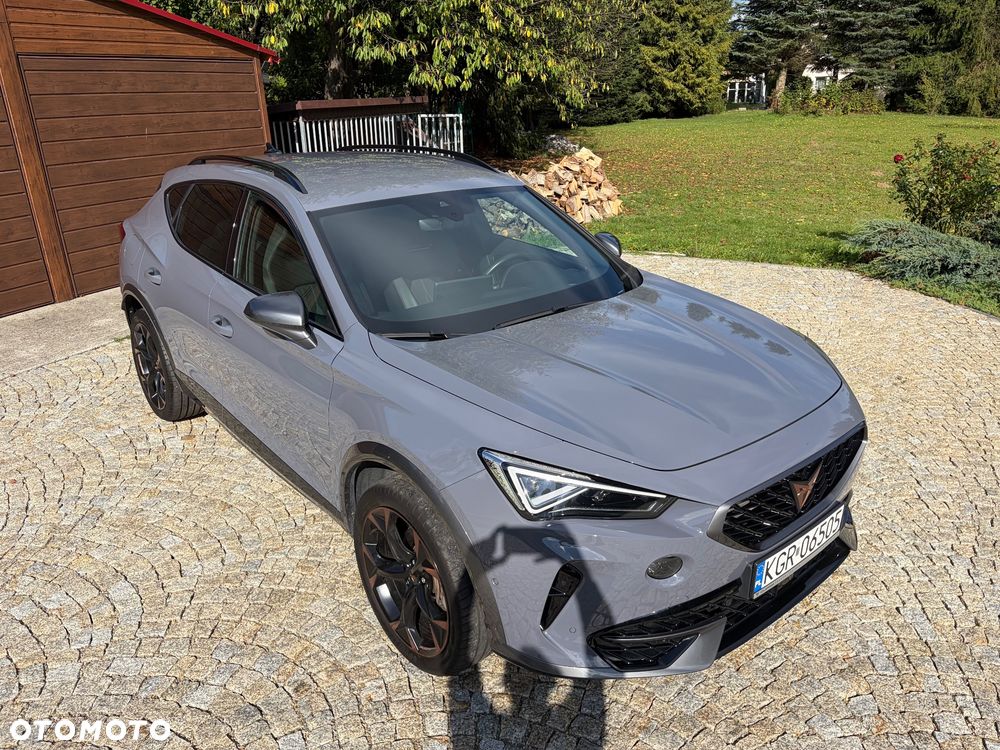 Cupra Formentor 2.0 TSI 4Drive DSG - 19