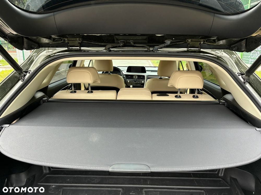 Lexus RX 300 Business Edition + - 18