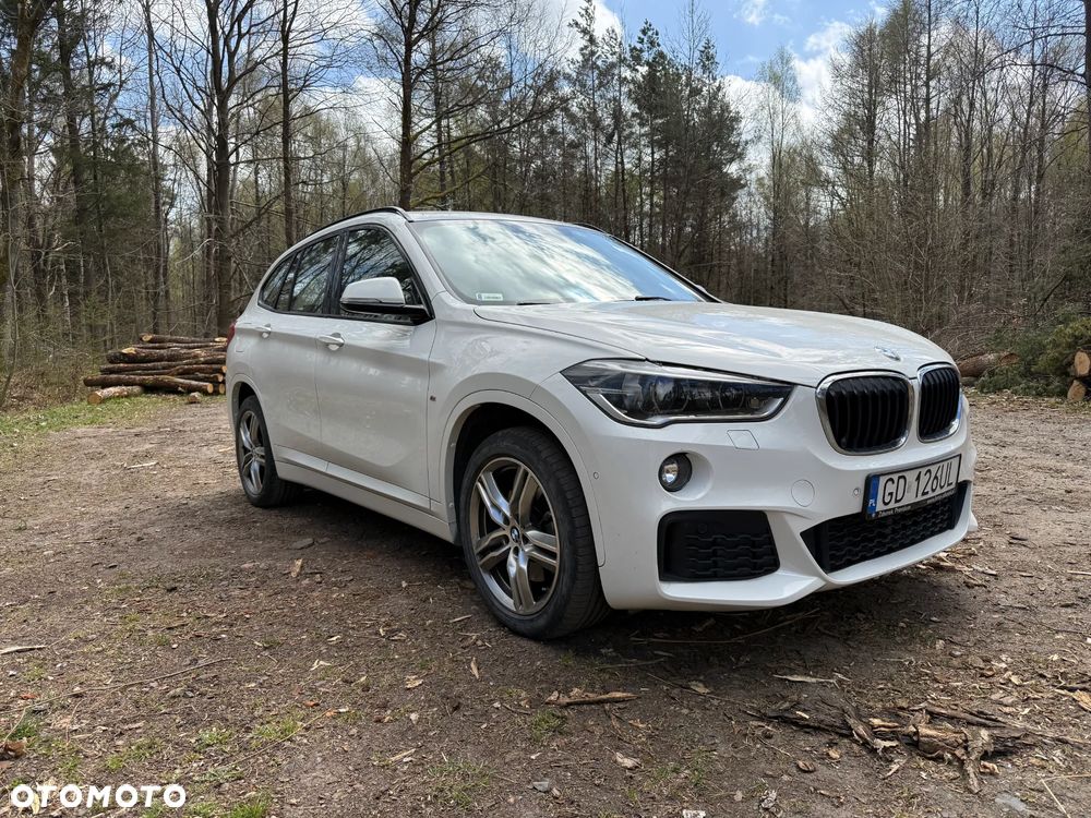 BMW X1 - 9