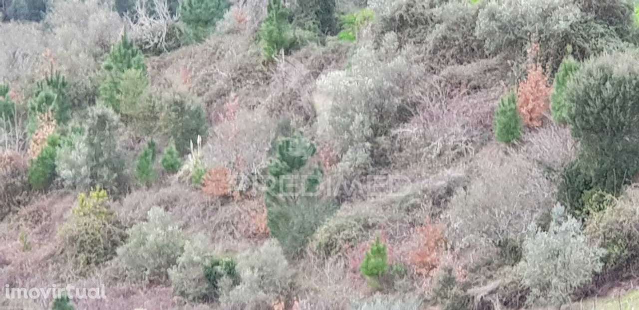 Terreno Rústico - Grande imagem: 2/2