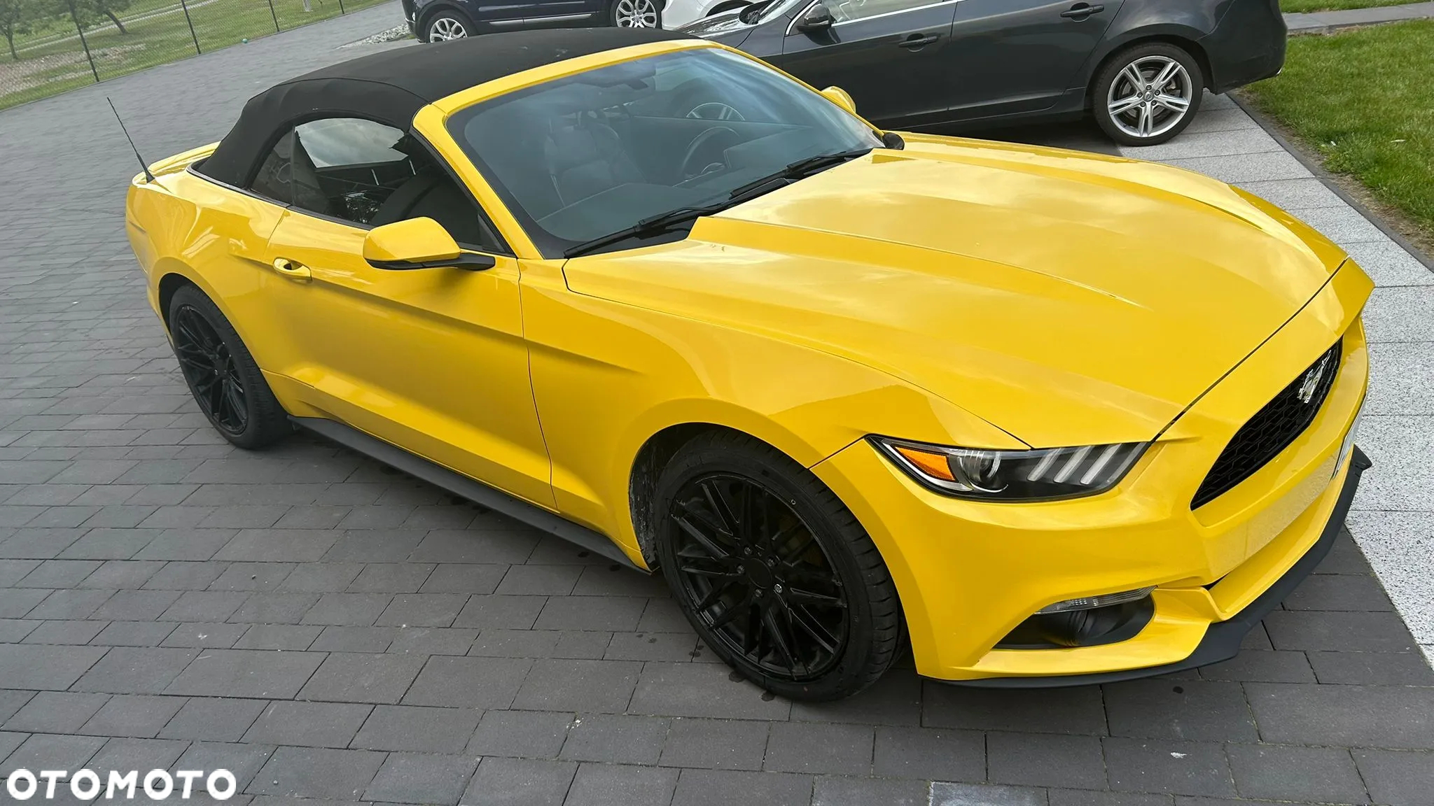 Ford Mustang 2.3 EcoBoost - 2