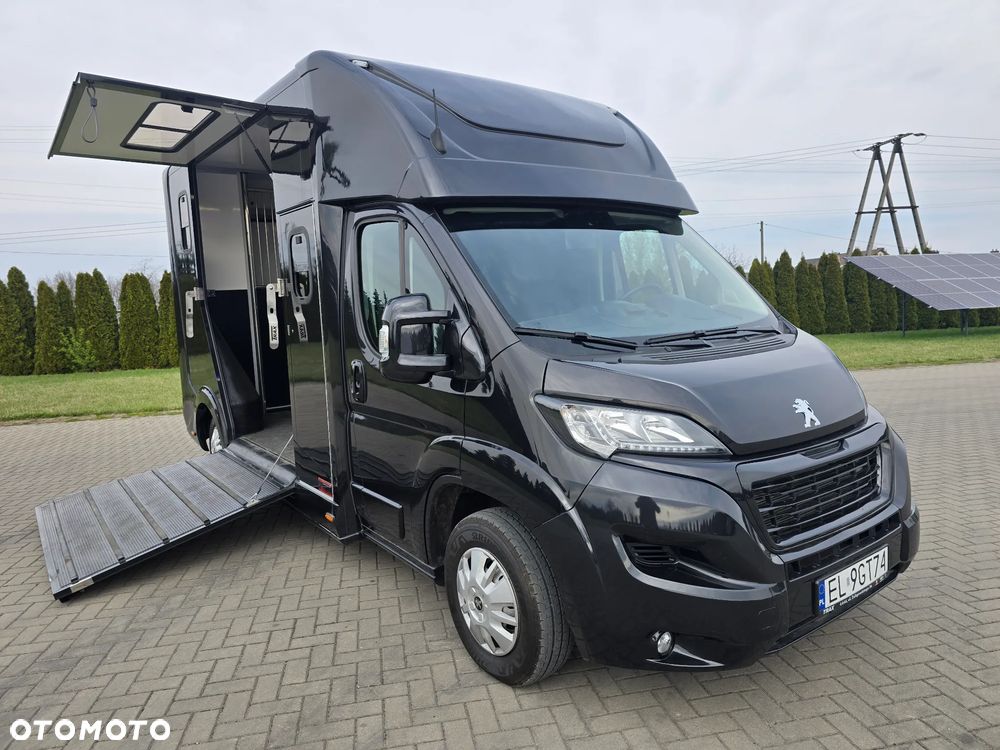 Peugeot Boxer-Koniowóz - 3