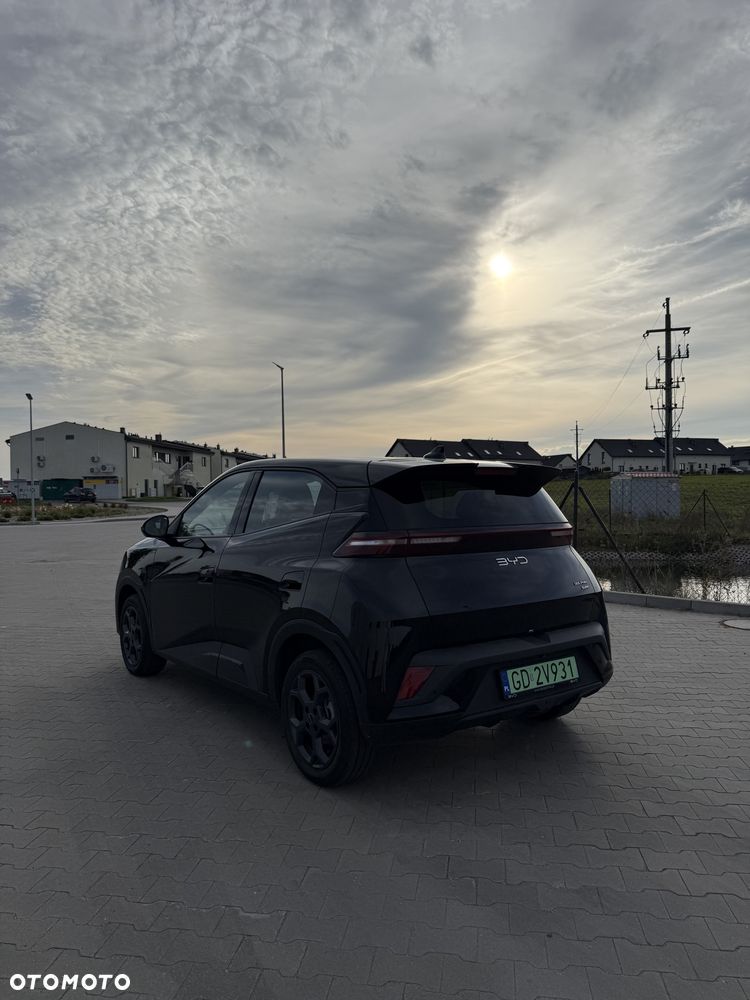 BYD Dolphin Surf Boost - 15