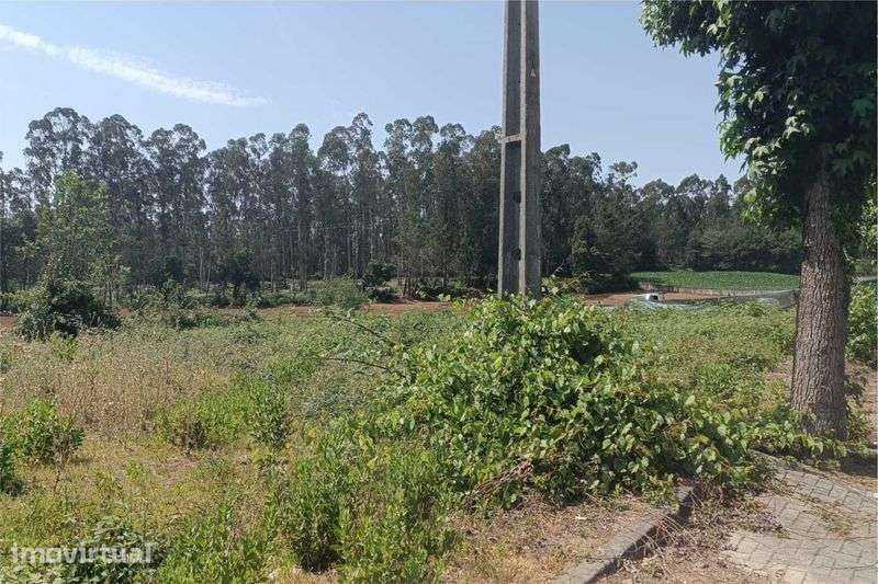 Excelente Terreno Urbano com 489 m2 - Grande imagem: 2/7