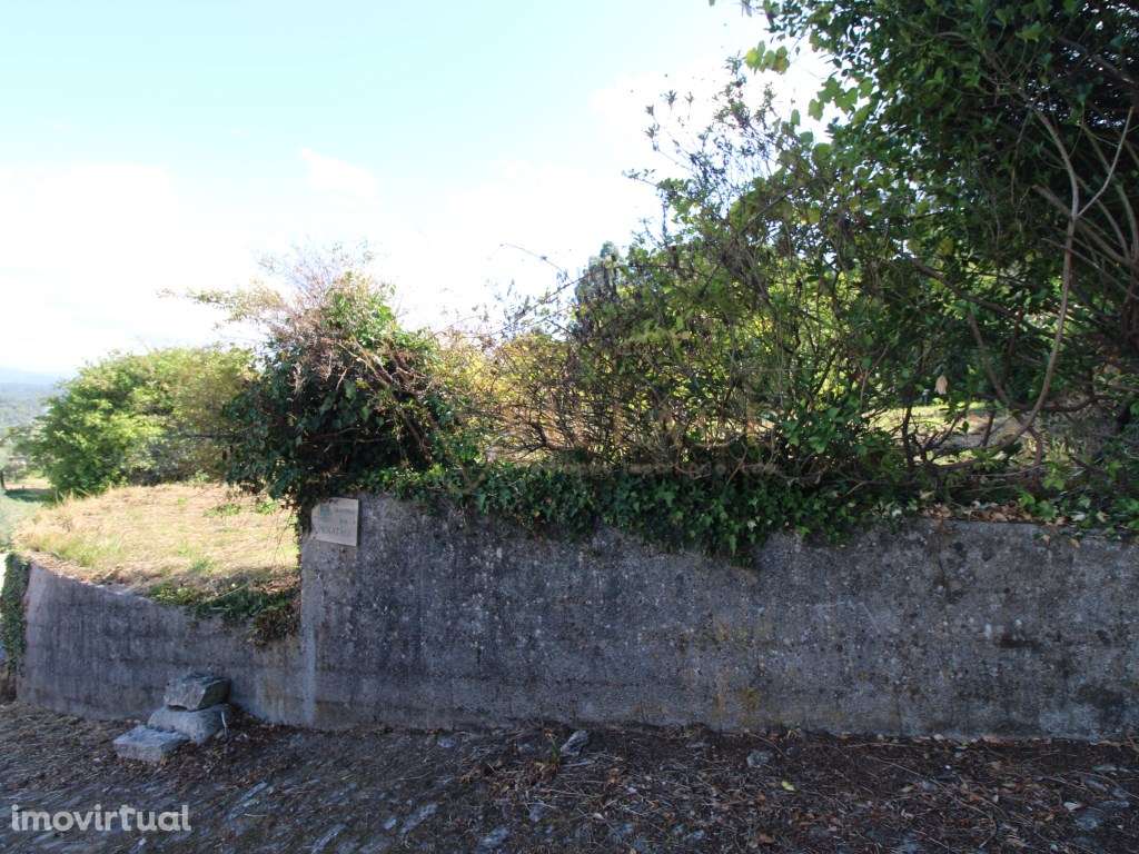 Terreno - Grande imagem: 2/24