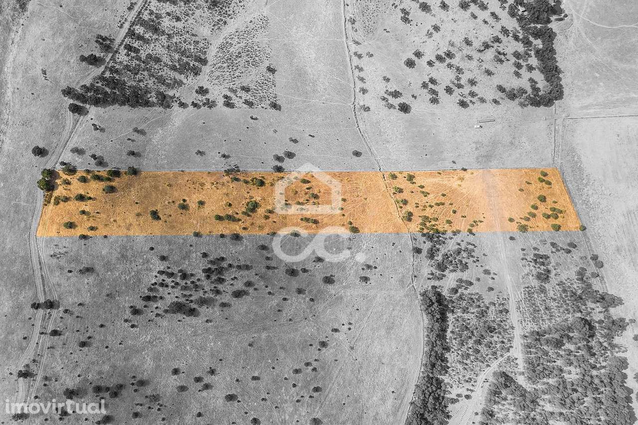 Terreno Rústico de 1,9 ha para Exploração Agrícola | Reguengos de Mons - Grande imagem: 2/13