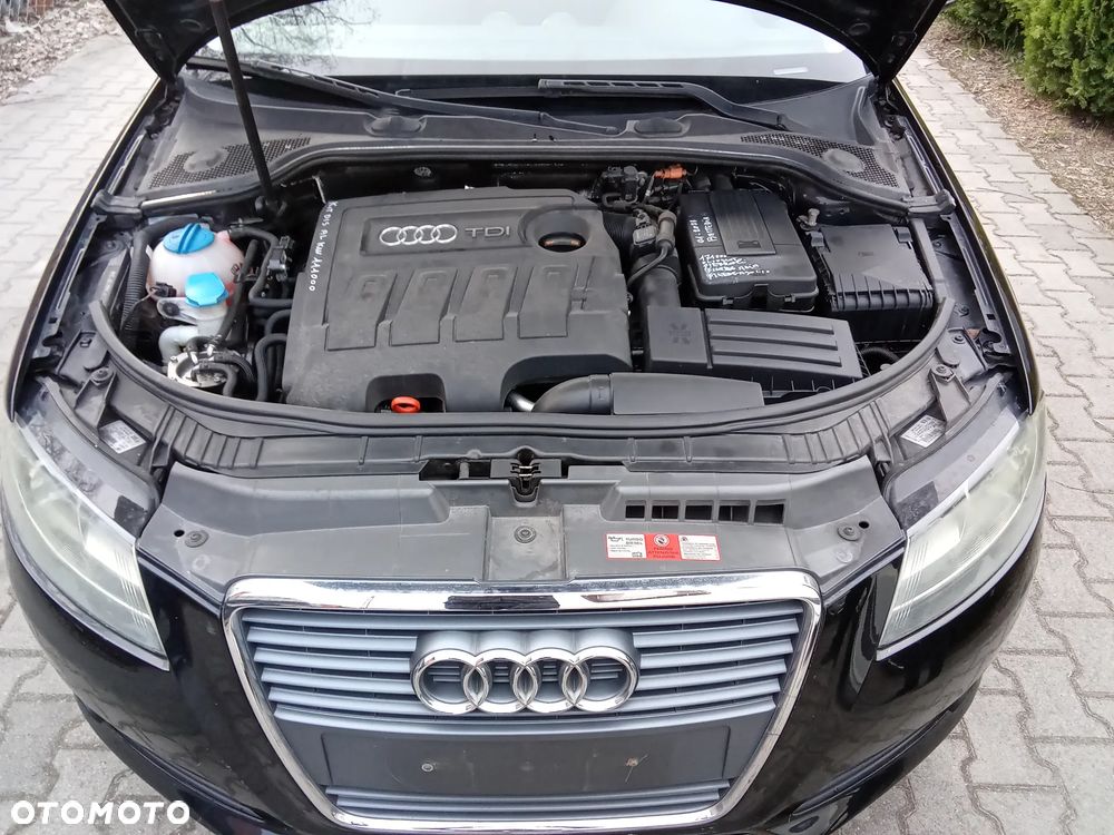 Audi A3 Sportback 1.6 TDI DPF Ambiente - 8