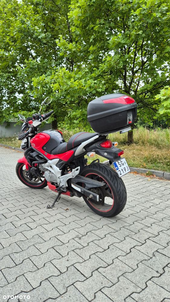 Suzuki Gladius - 1