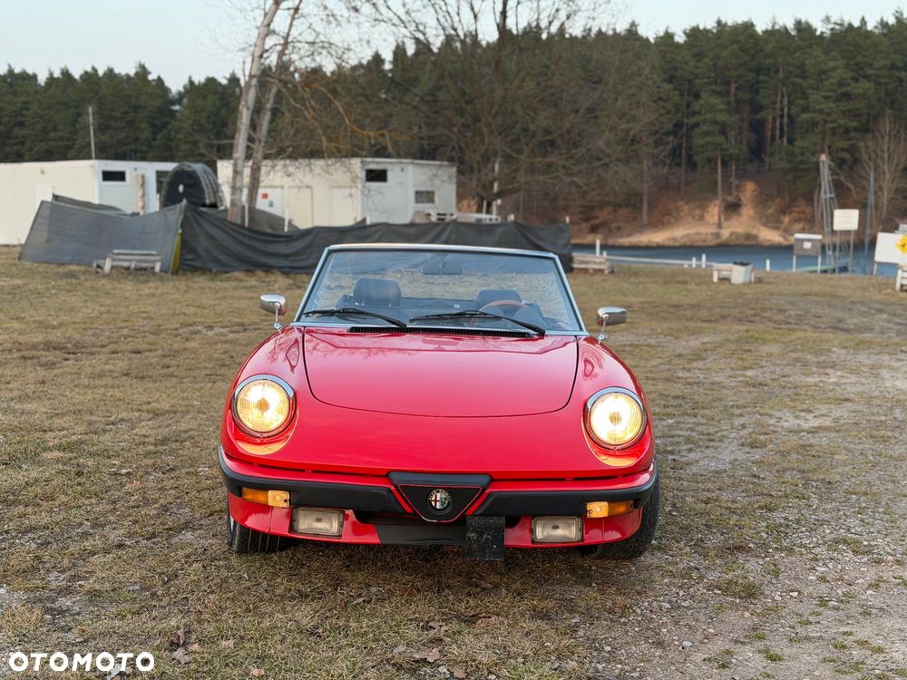 Alfa Romeo Spider - 4