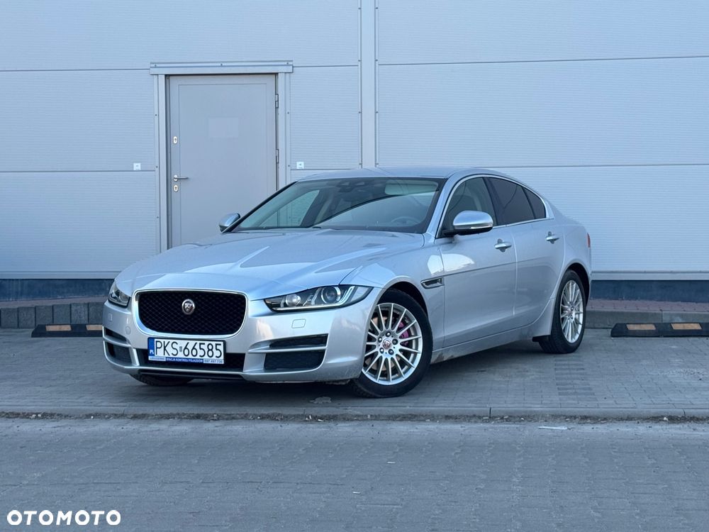 Jaguar XE E-Performance Pure - 19