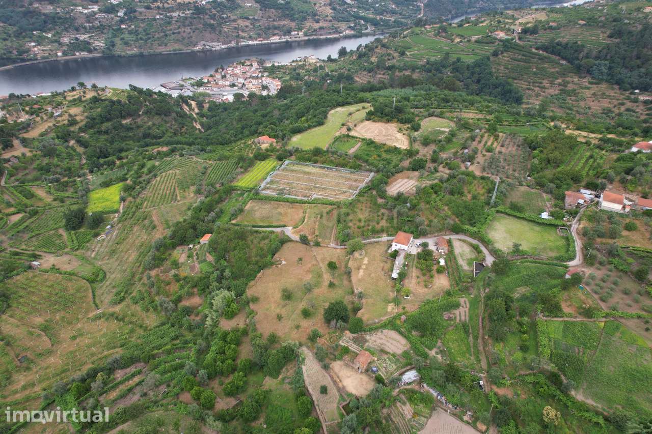 Quinta em Miomães, Resende | Um refúgio rural com cerca de 4 hectares - Grande imagem: 5/58