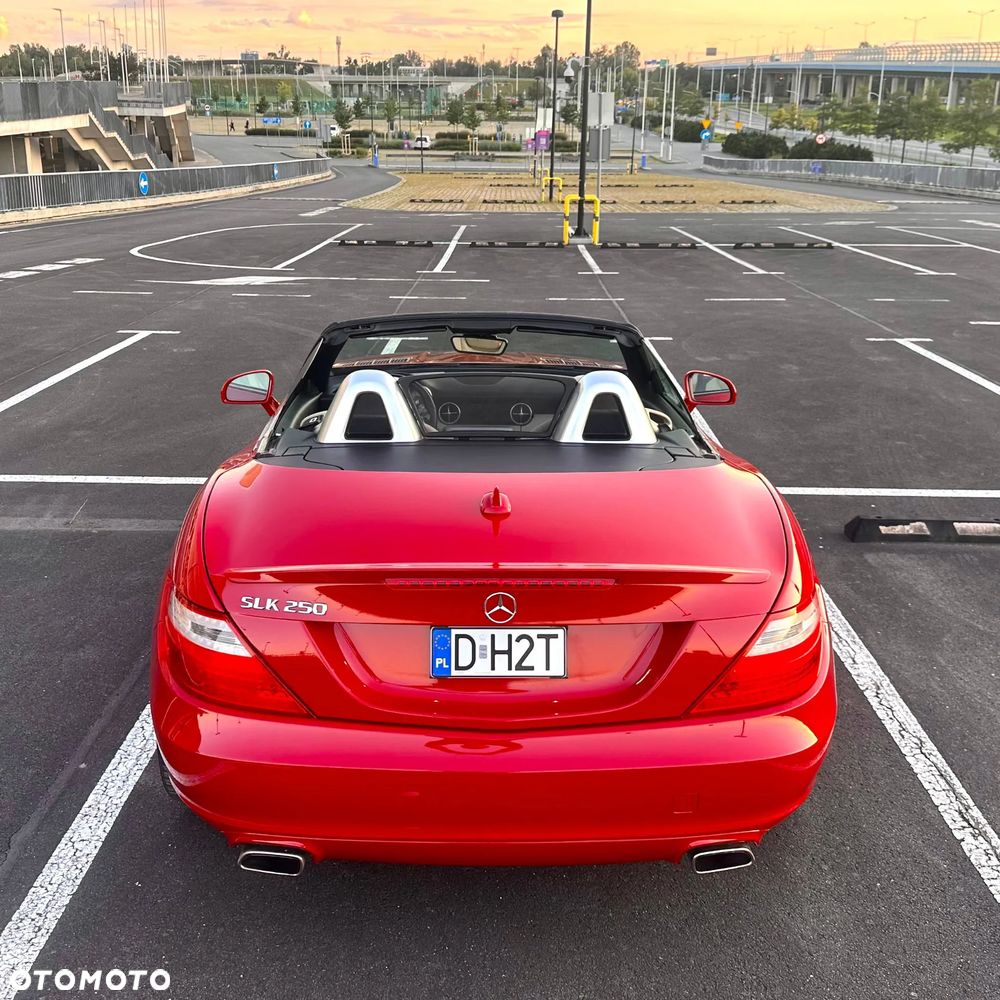 Mercedes-Benz SLK 250 (BlueEFFICIENCY) 7G-TRONIC - 15