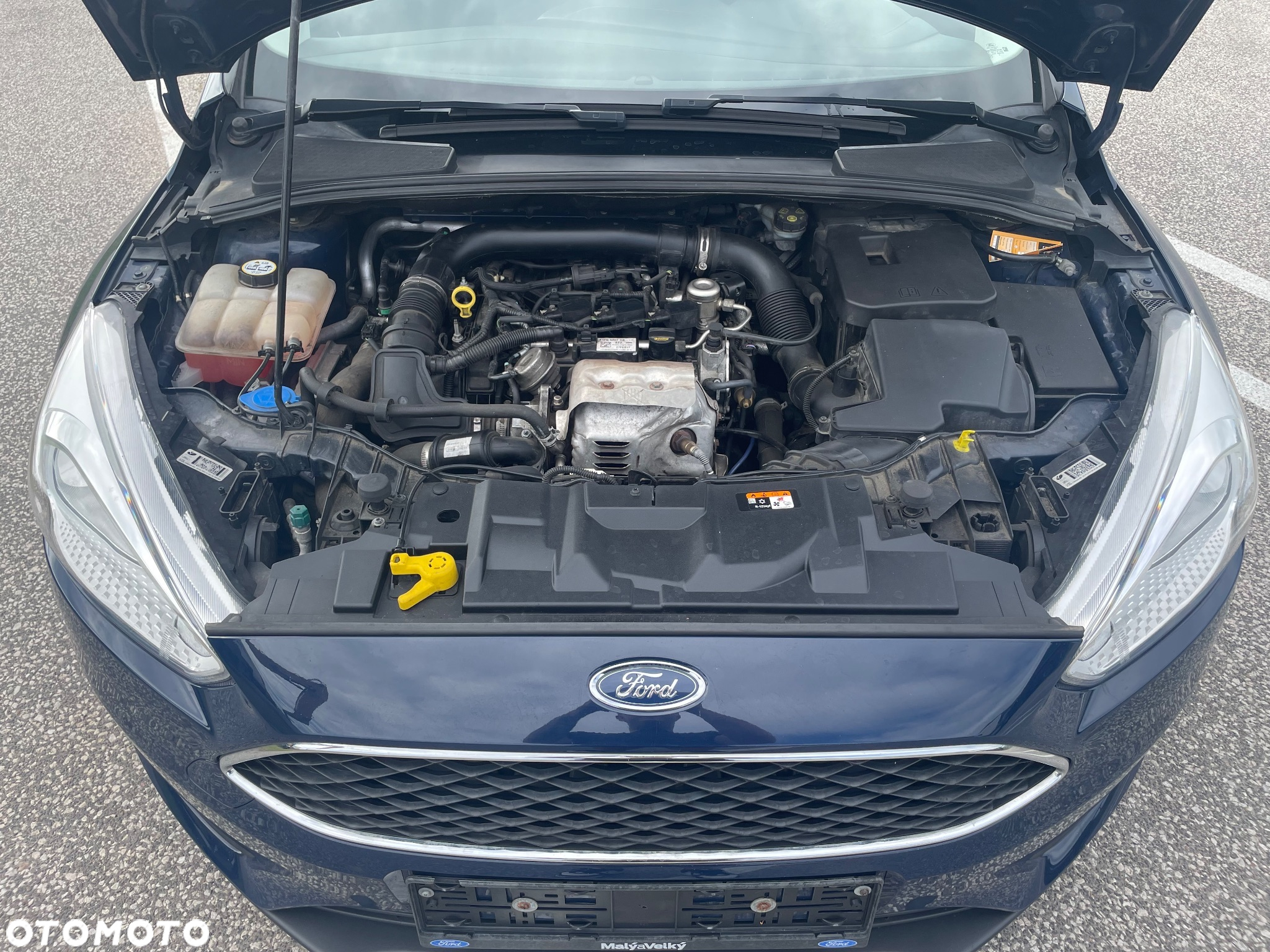 Ford Focus 1.0 EcoBoost Gold X ASS - 19