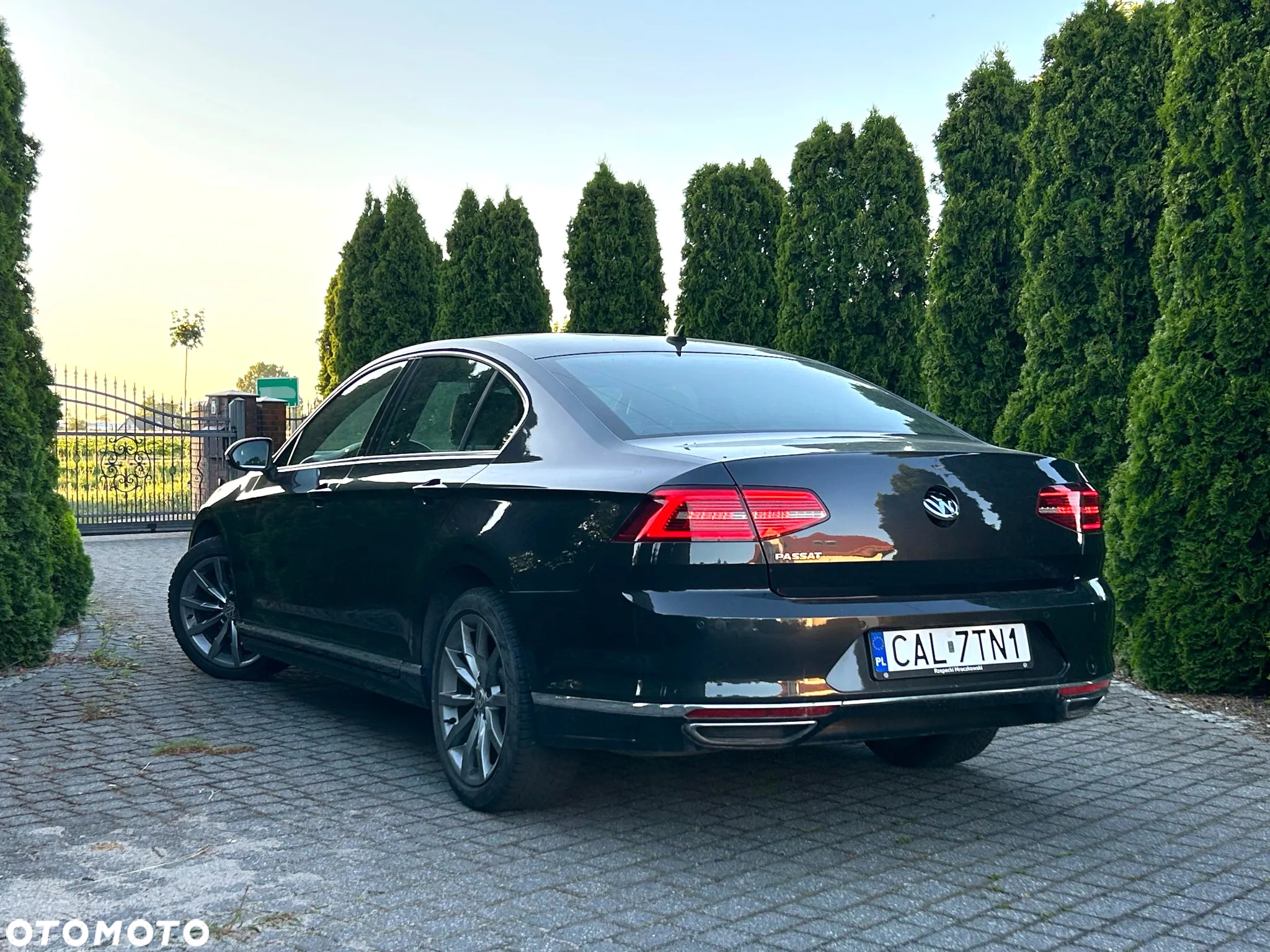 Volkswagen Passat - 6