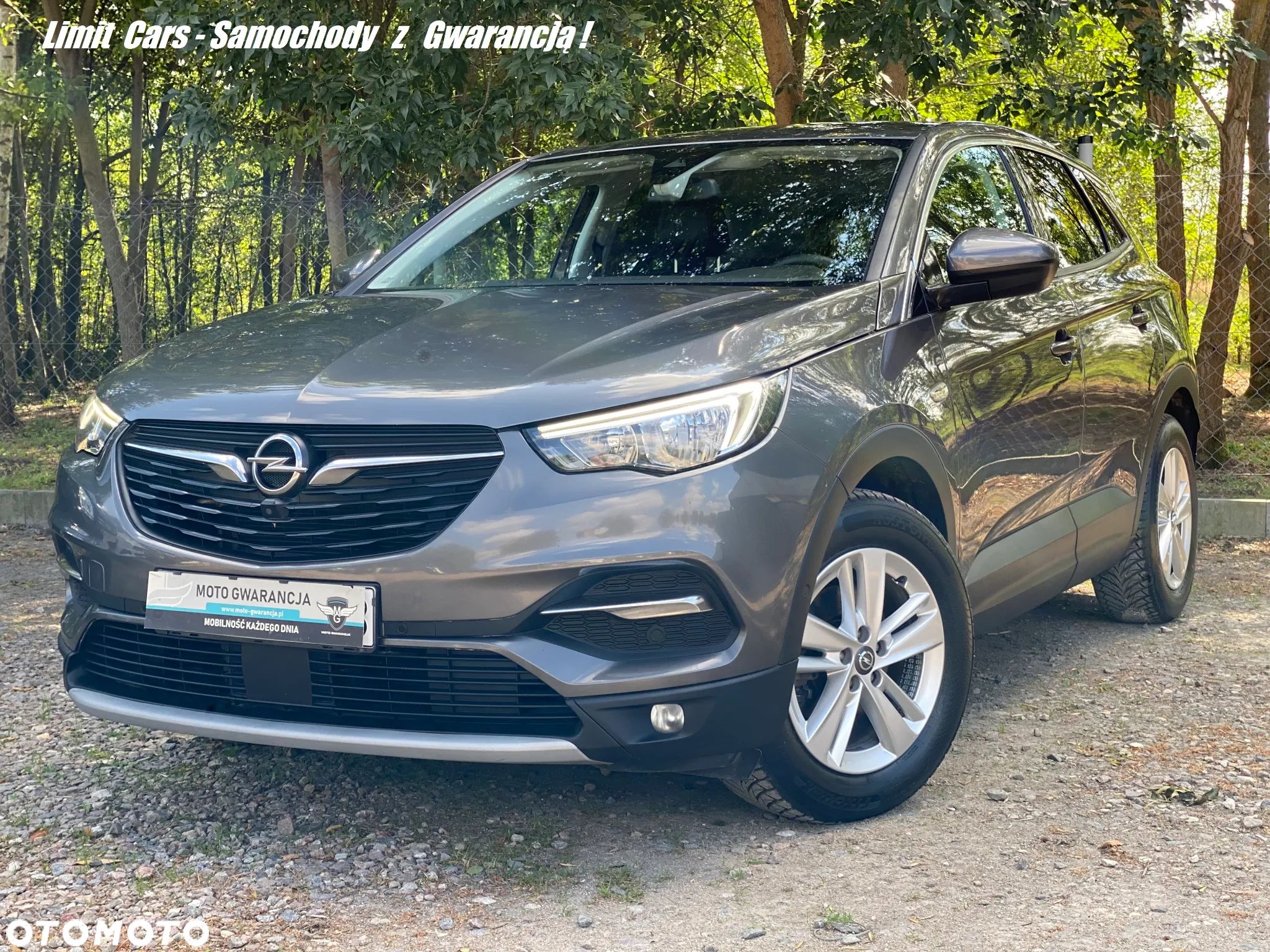 Opel Grandland X 1.6 CDTI Innovation S&S - 1