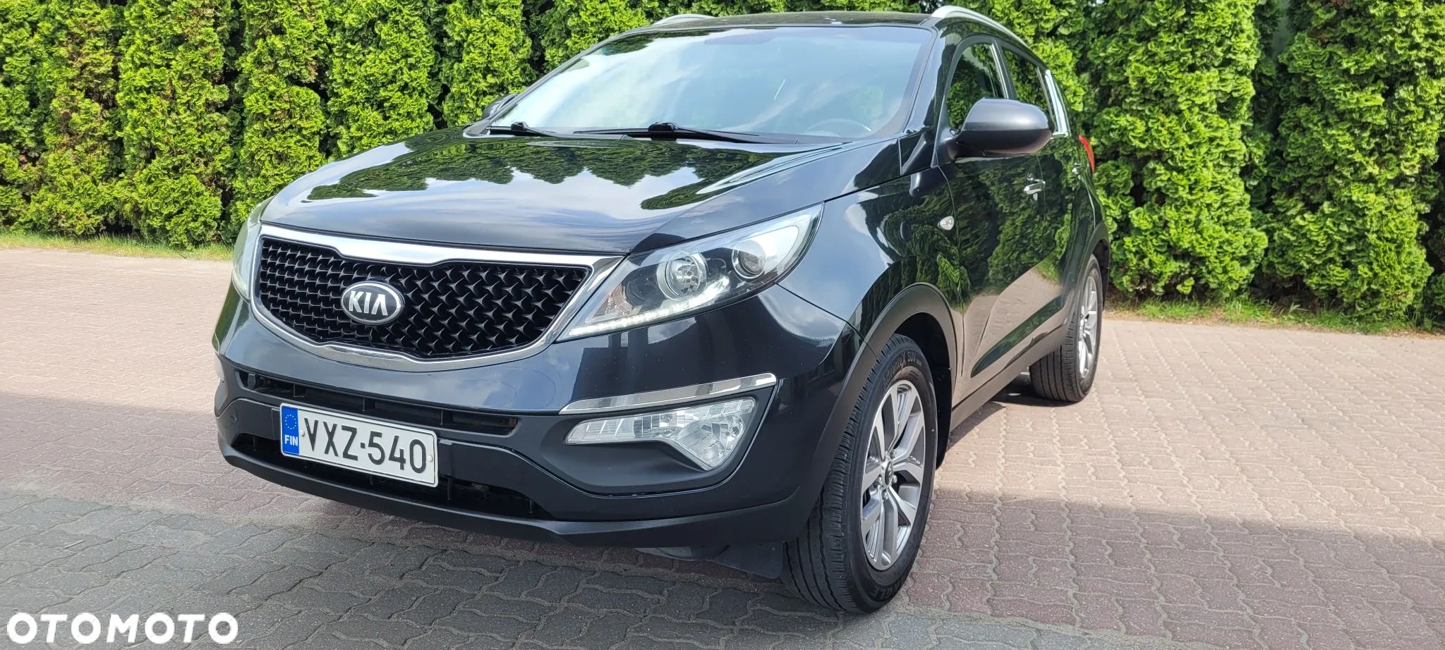 Kia Sportage - 1