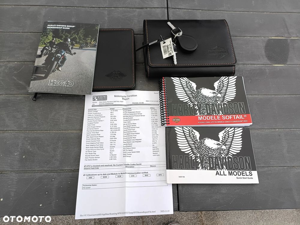 Harley-Davidson Softail Standard - 15