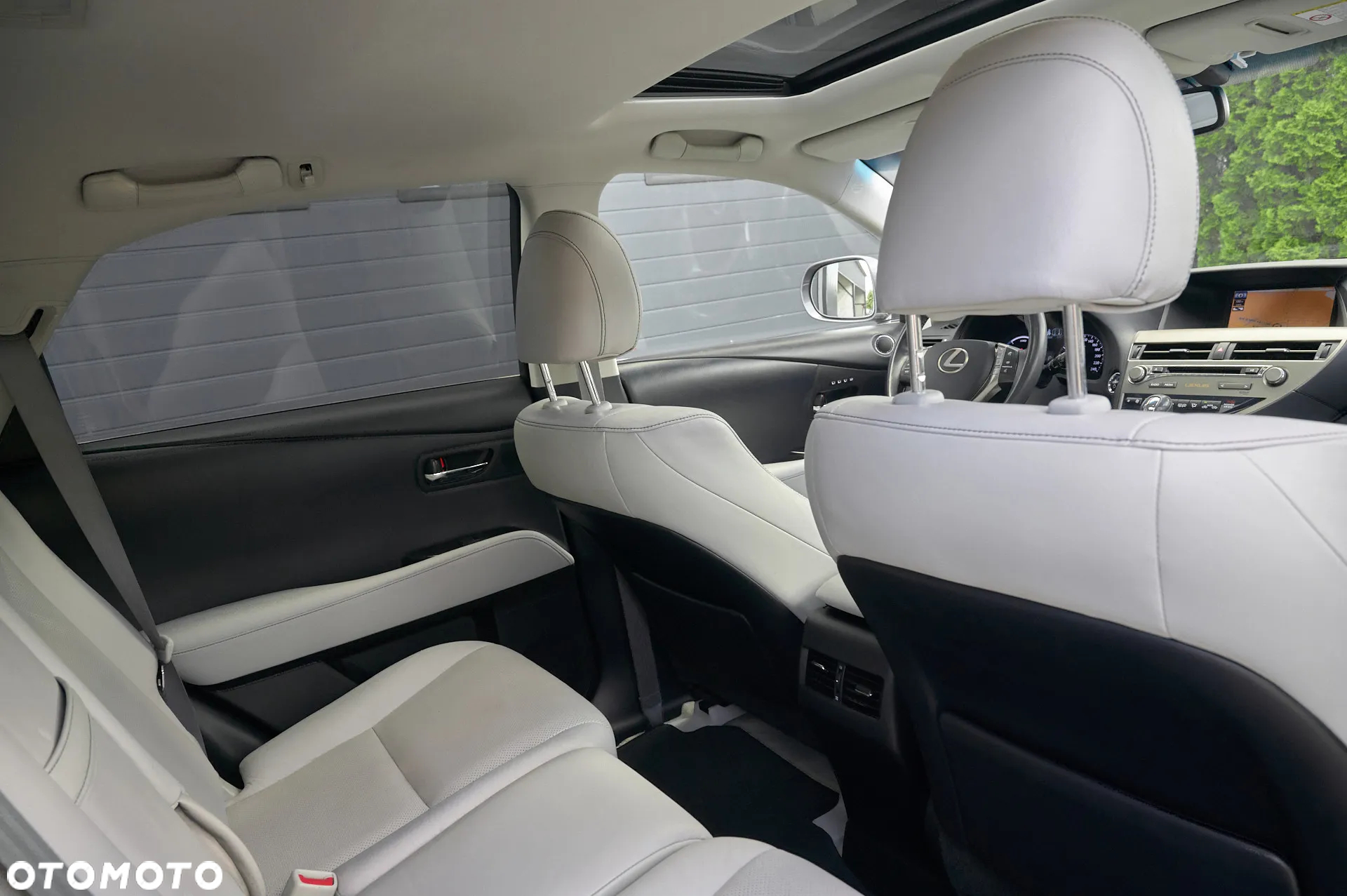 Lexus RX 450h (hybrid) Luxury Line - 18