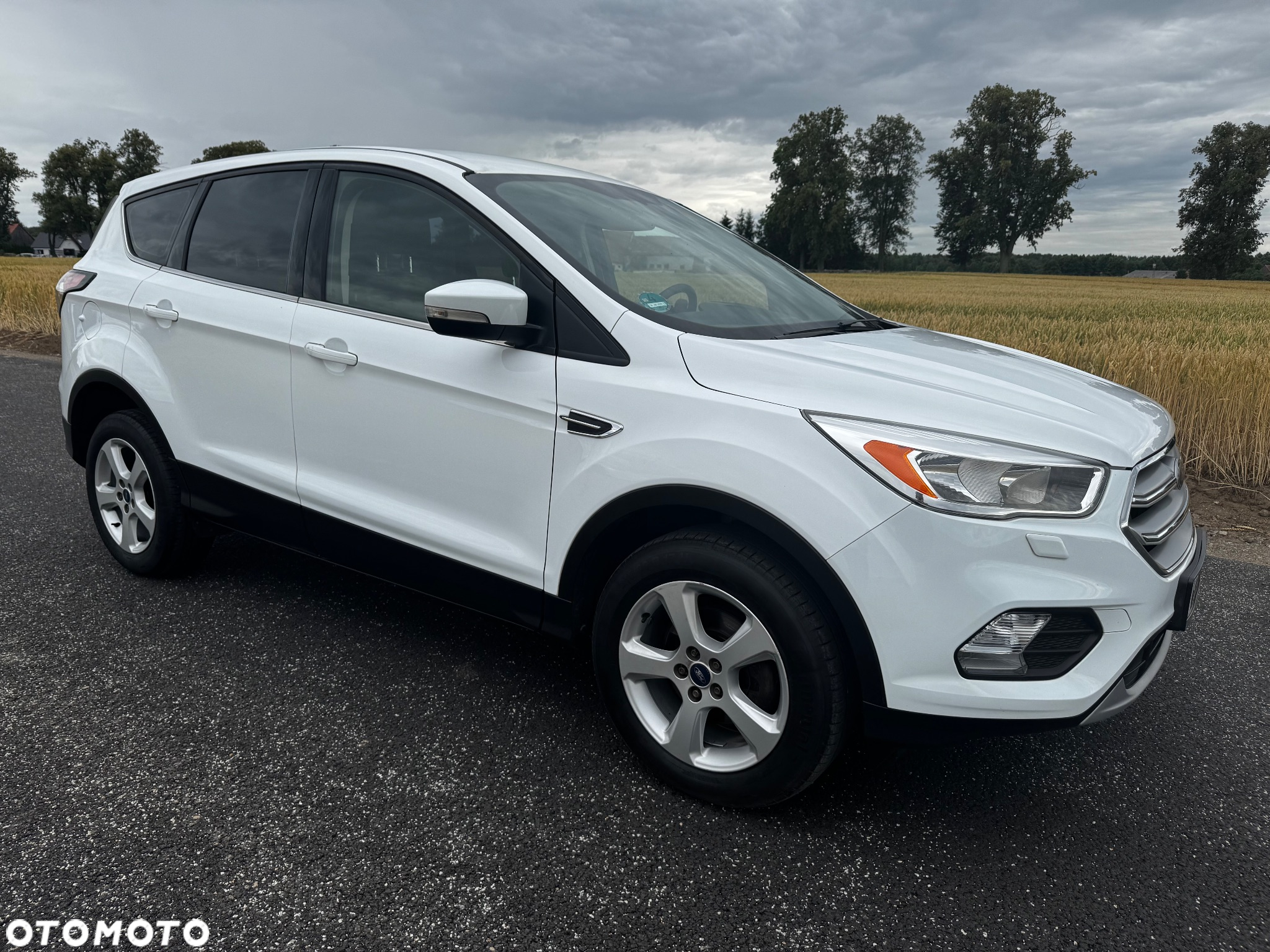 Ford Kuga 1.5 EcoBoost 2x4 Trend - 13