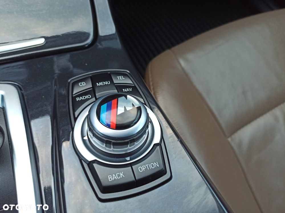 BMW Seria 5 520d Luxury Line - 22