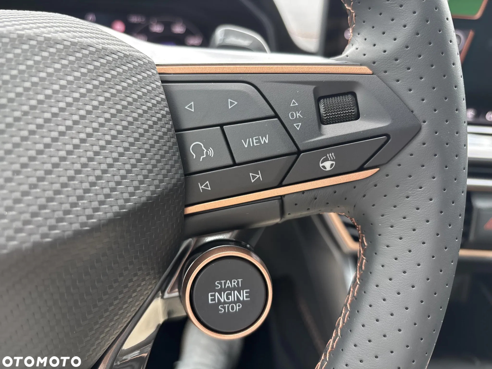 Cupra Formentor 2.0 TSI 4Drive VZ DSG - 22