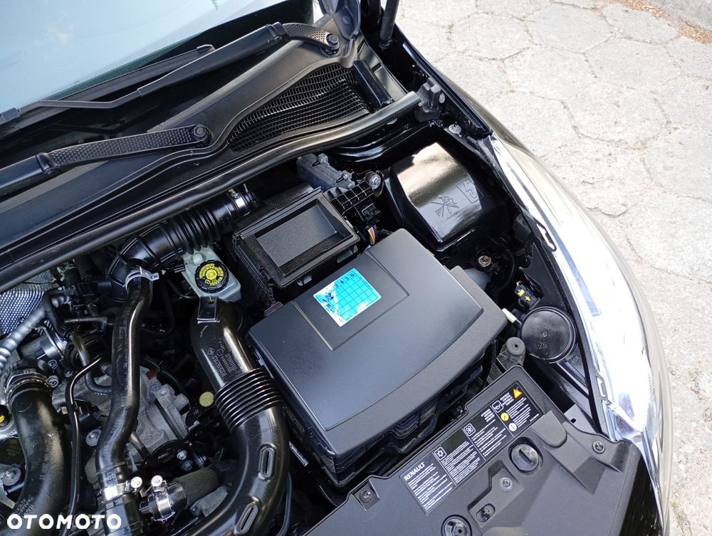 Renault Clio - 29