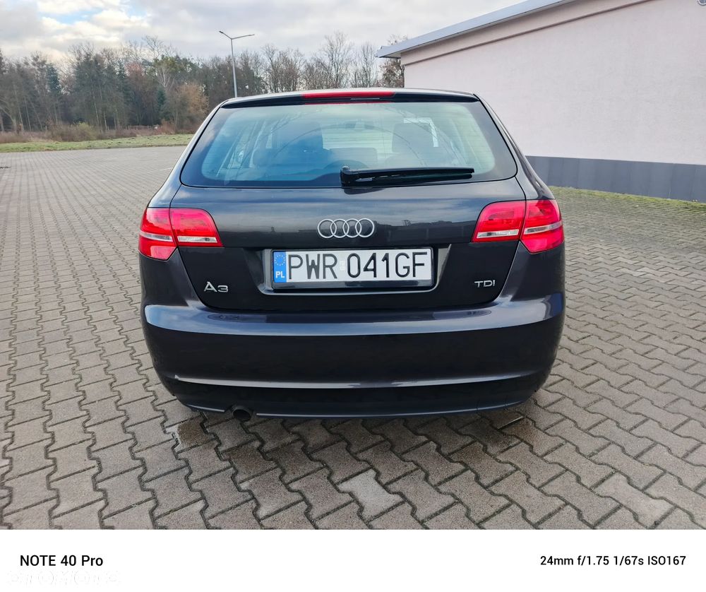 Audi A3 1.6 TDI DPF Ambiente - 7