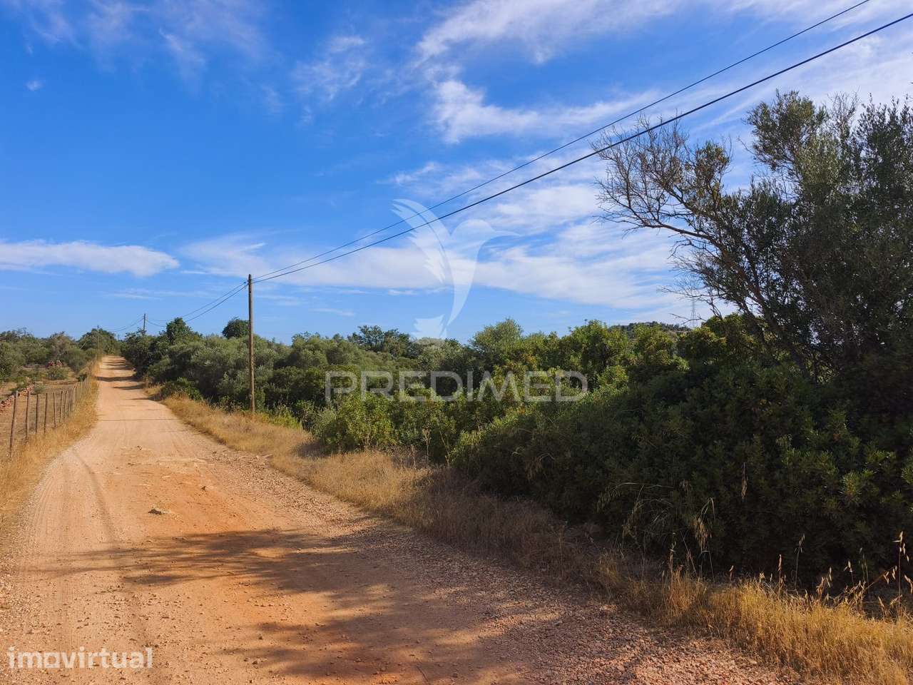 Albufeira-Paderne - Terreno Rustico 30.080m2 - Grande imagem: 4/16