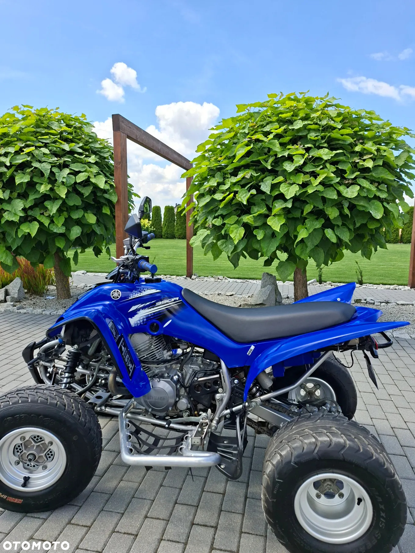Yamaha Raptor - 2