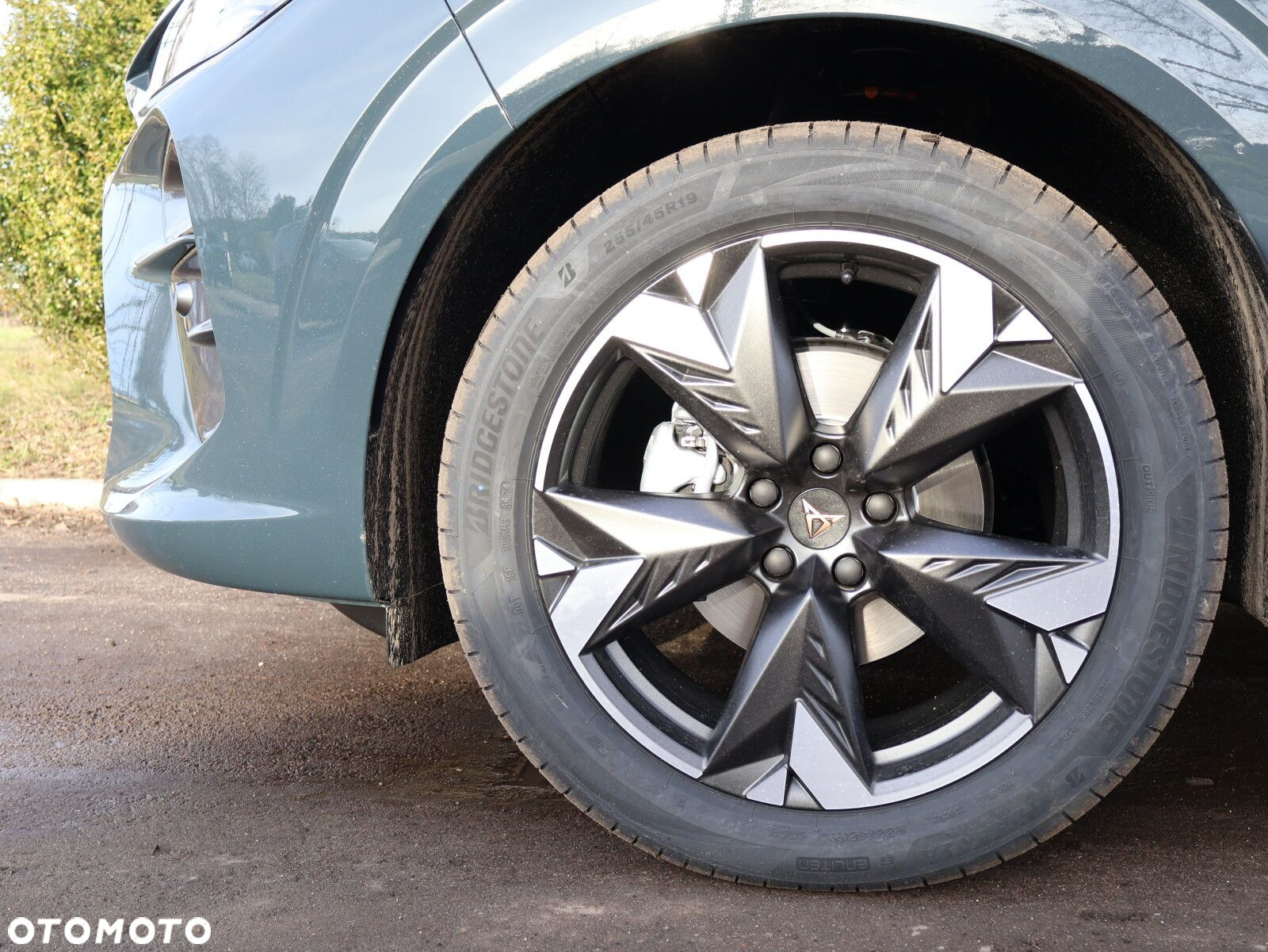 Cupra Terramar 1.5 eTSI mHEV DSG - 7